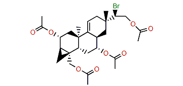 15-Bromo-2,7,16,19-tetraacetoxy-9(11)-parguerene
